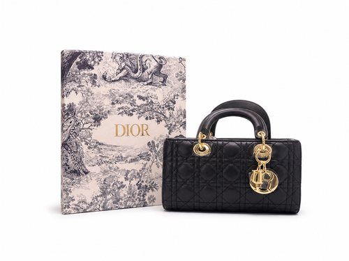 کیف دیور LADY مستر (DIOR) - 033